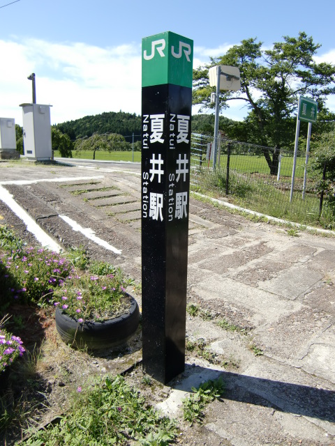 第1種