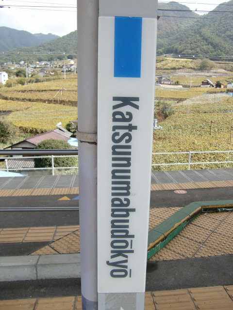 柱取り付け式