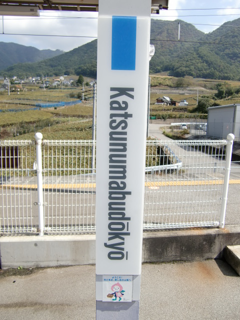 柱取り付け式