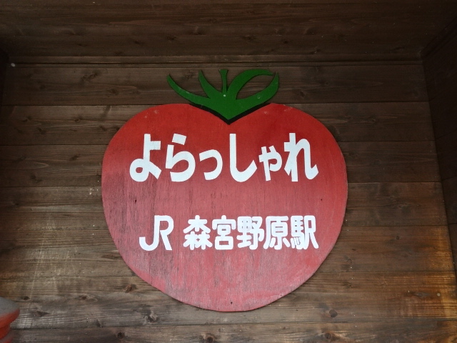 よらっしゃれ