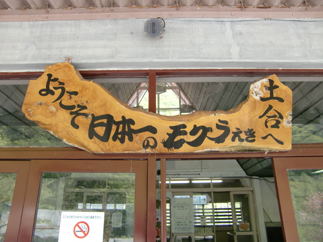 第1種