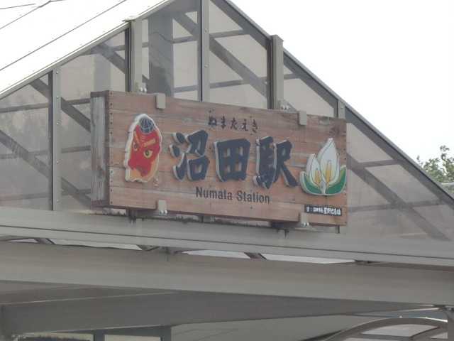 第1種