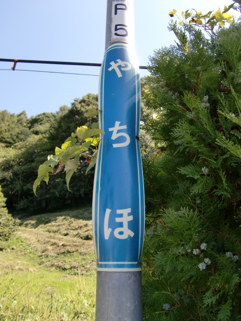 柱取り付け式