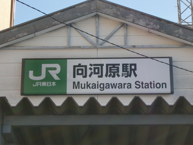 第1種