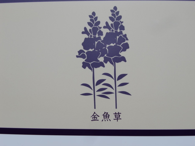 金魚草