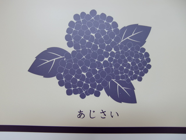 あじさい
