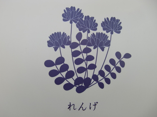れんげ