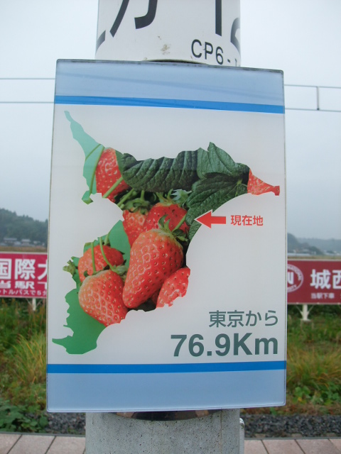 現在地 (1~3番線ホーム)