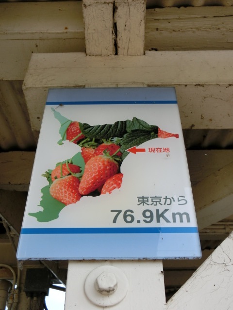 現在地 (1番線ホーム)