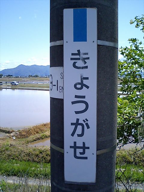 柱取り付け式