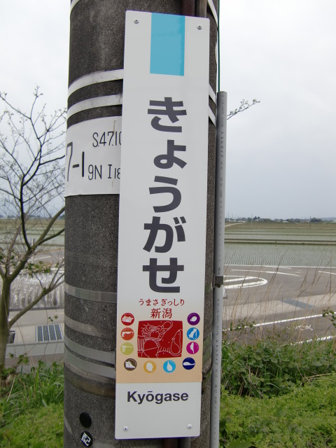 柱取り付け式