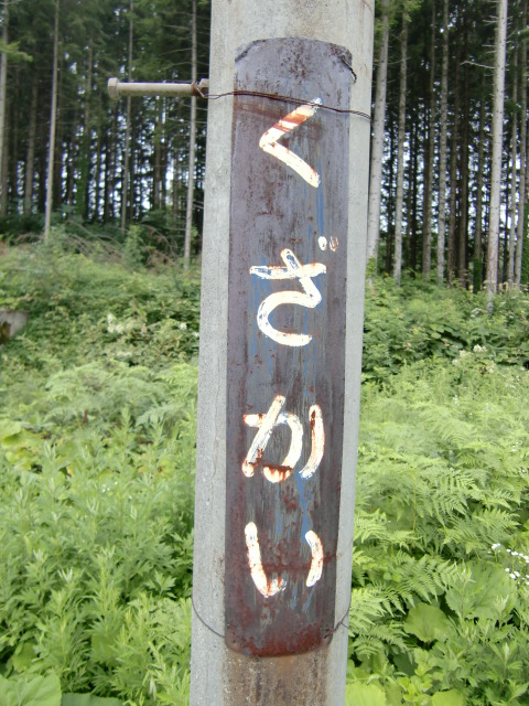 柱取り付け式