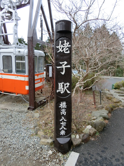 第1種