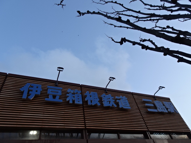 第1種