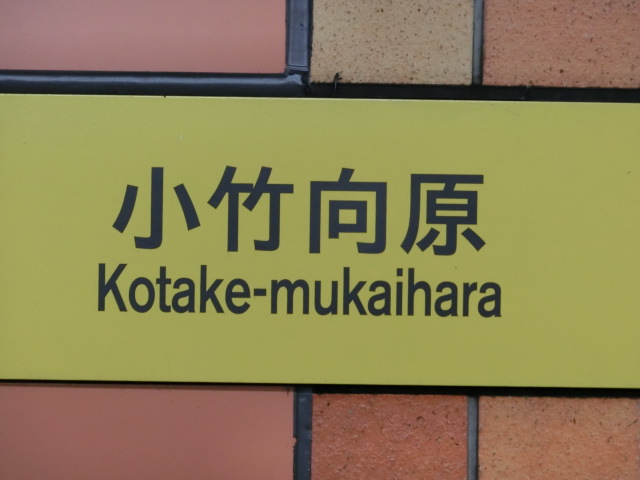 壁取り付け式