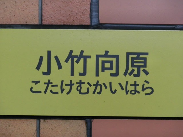 壁取り付け式